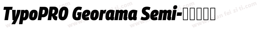 TypoPRO Georama Semi字体转换